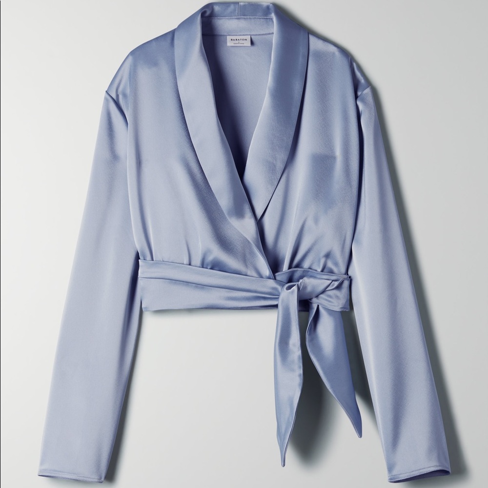 Aritzia Babaton Blouse